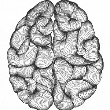 Grafika - Mózg